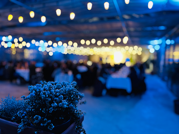 Hochzeit: Triibhuus Rothrist