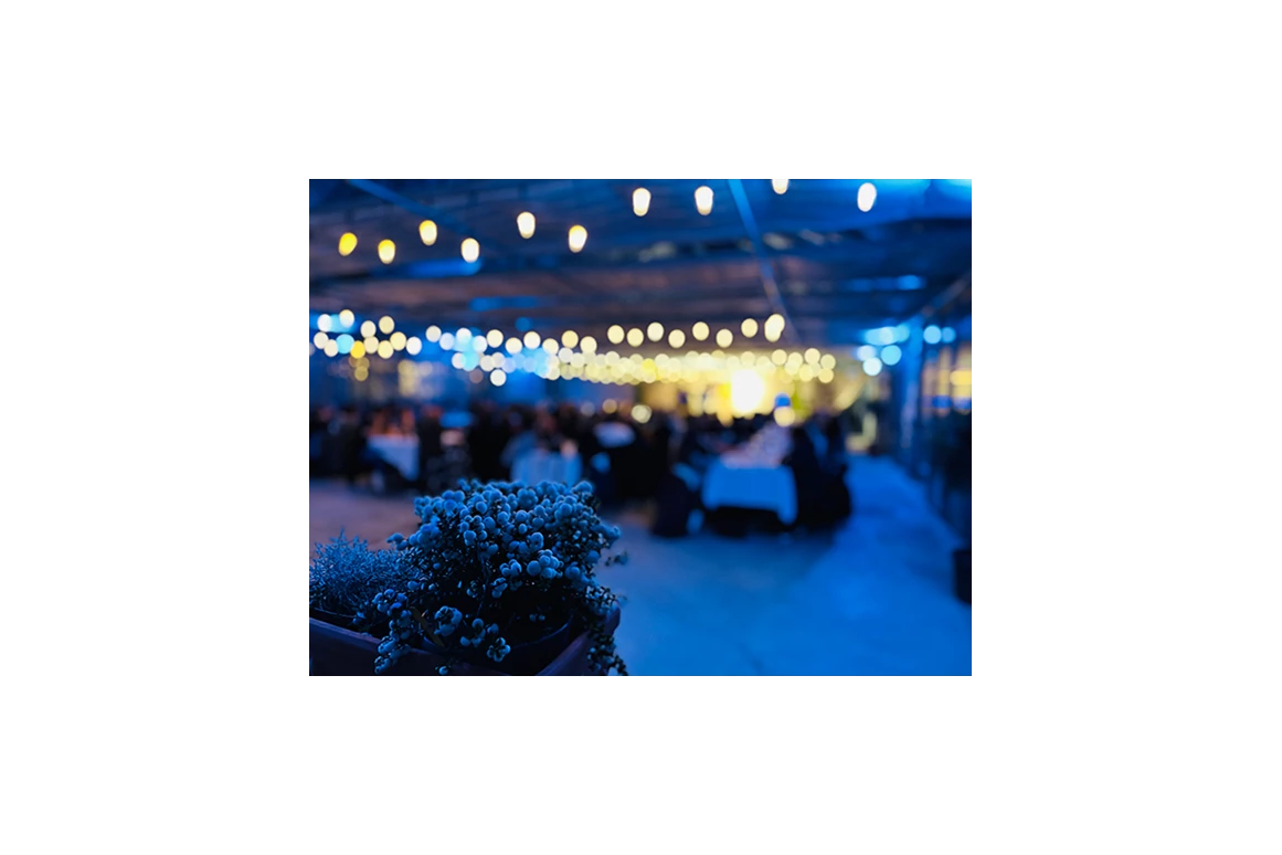 Hochzeitslocation: Triibhuus Rothrist