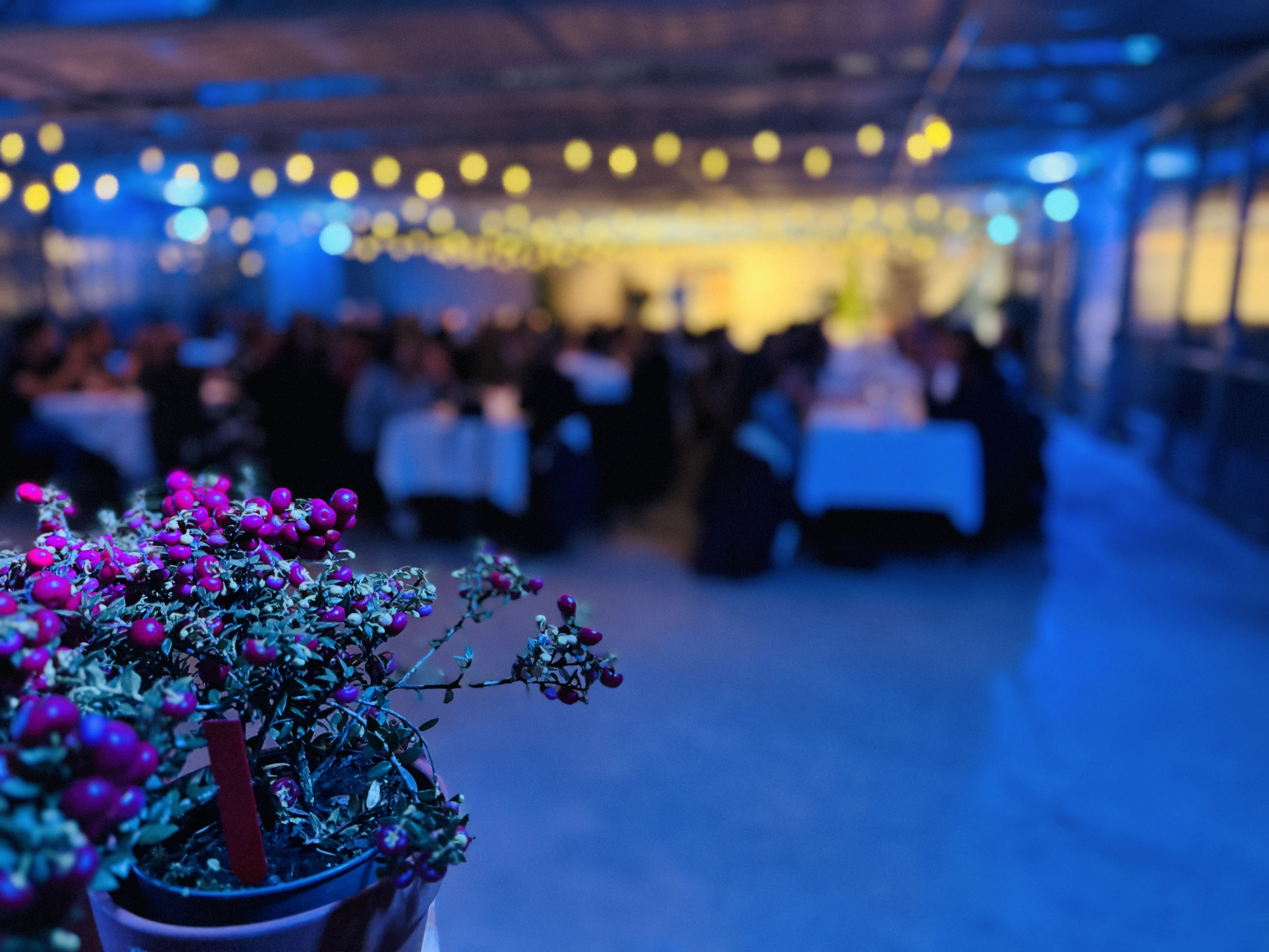 Hochzeit: Triibhuus Rothrist