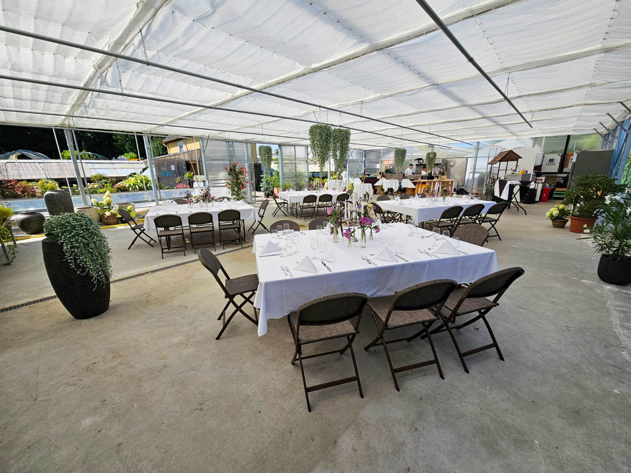 Hochzeit: Triibhuus Rothrist