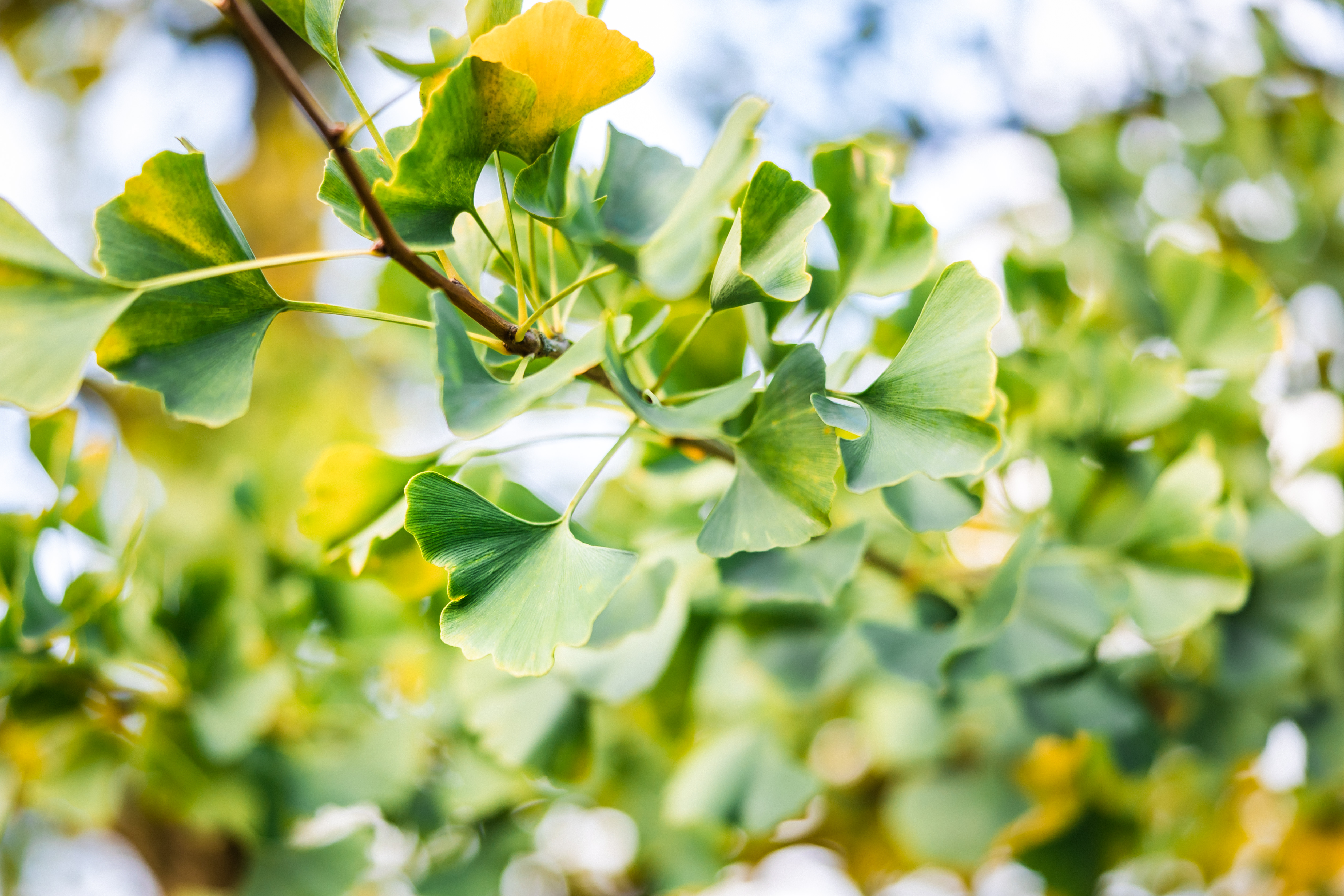 Hochzeit: Remise Niederbarkhausen