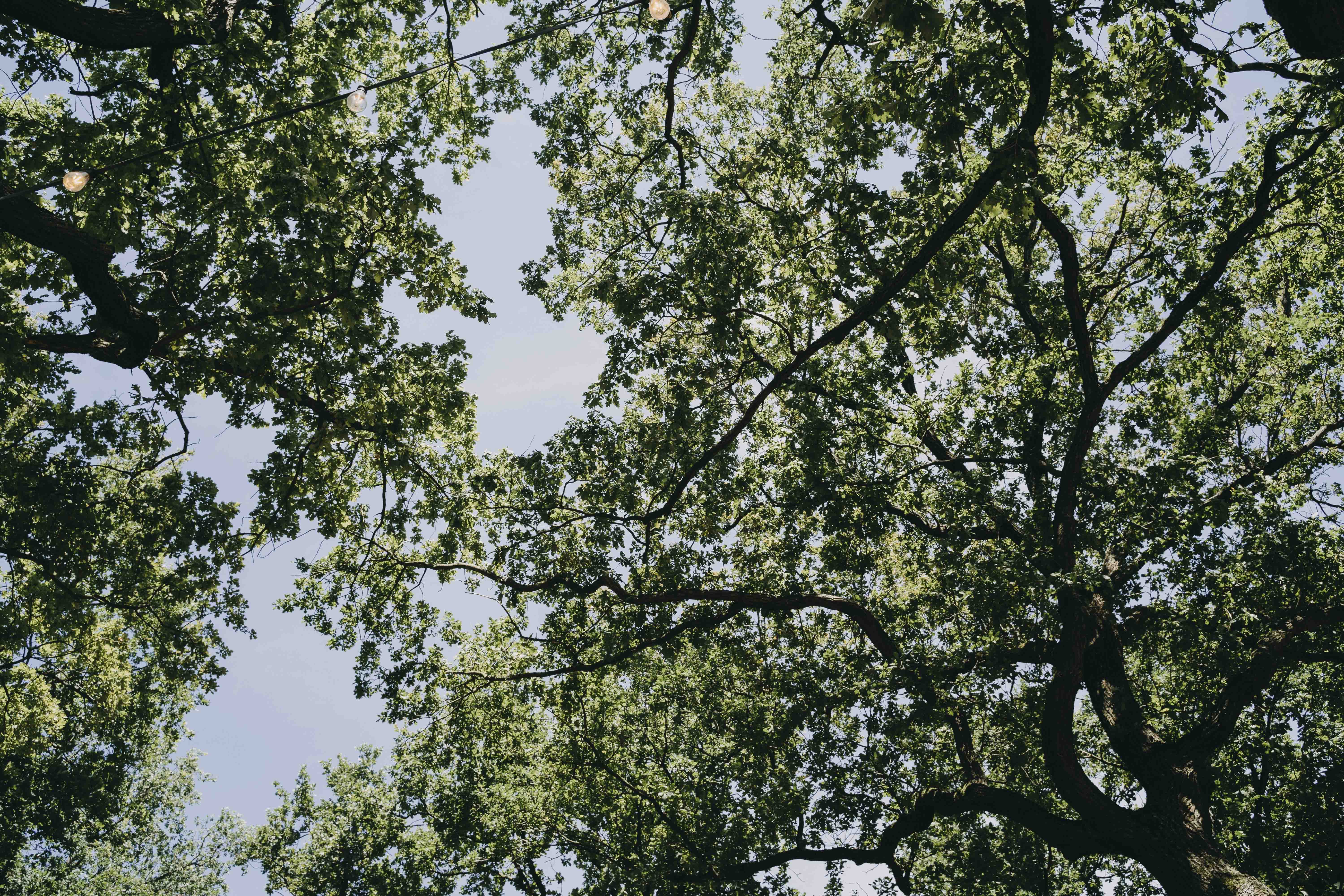 Hochzeitslocation: Strandbad Wendenschloss