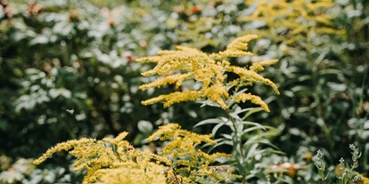 Mariage - Joachimsthal - Hof Landlust