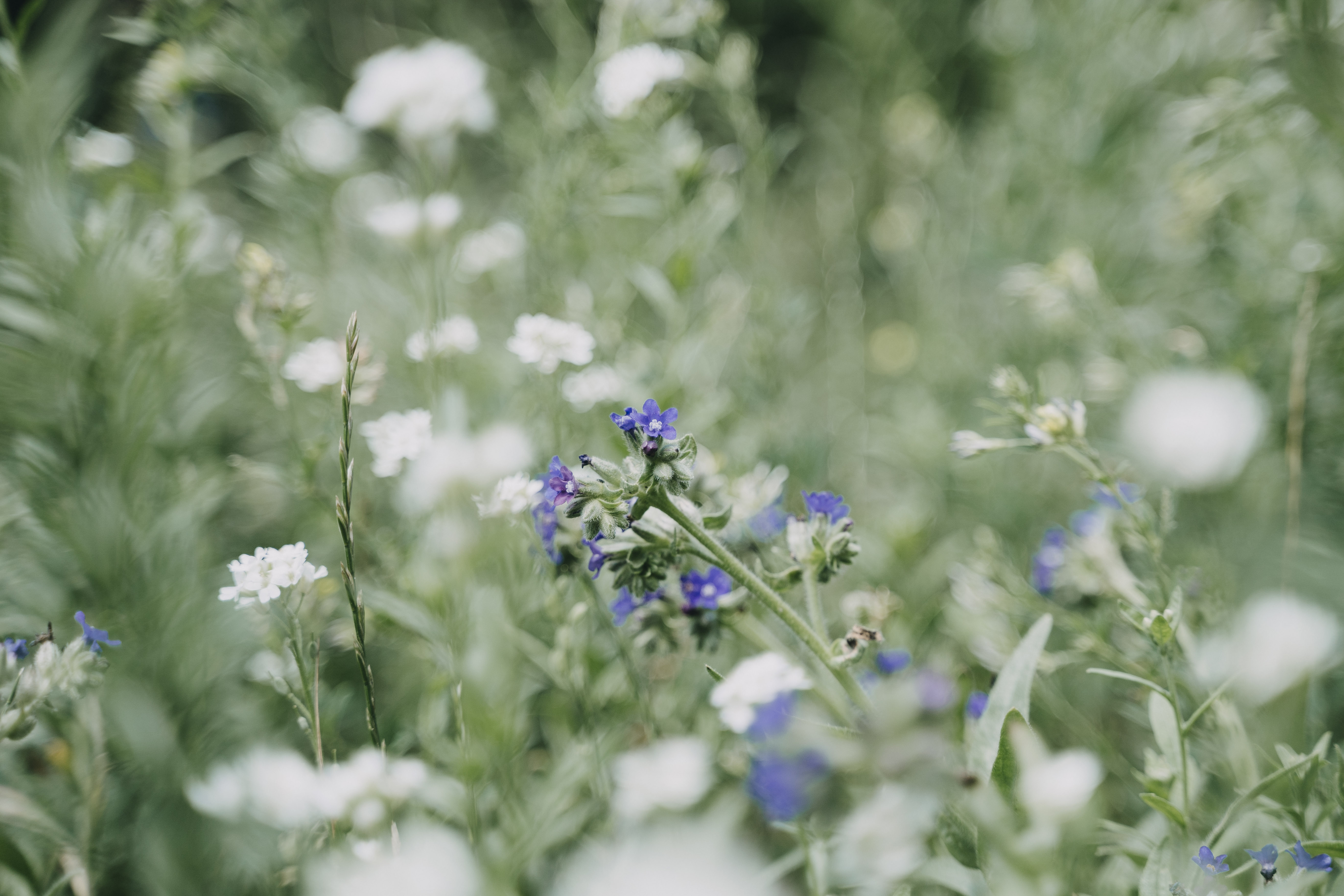 Hochzeit: Stadtscheune Buckow