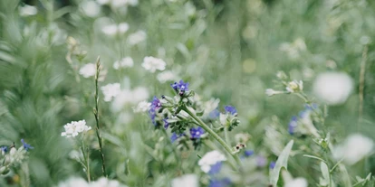 Hochzeit - Werneuchen - Stadtscheune Buckow