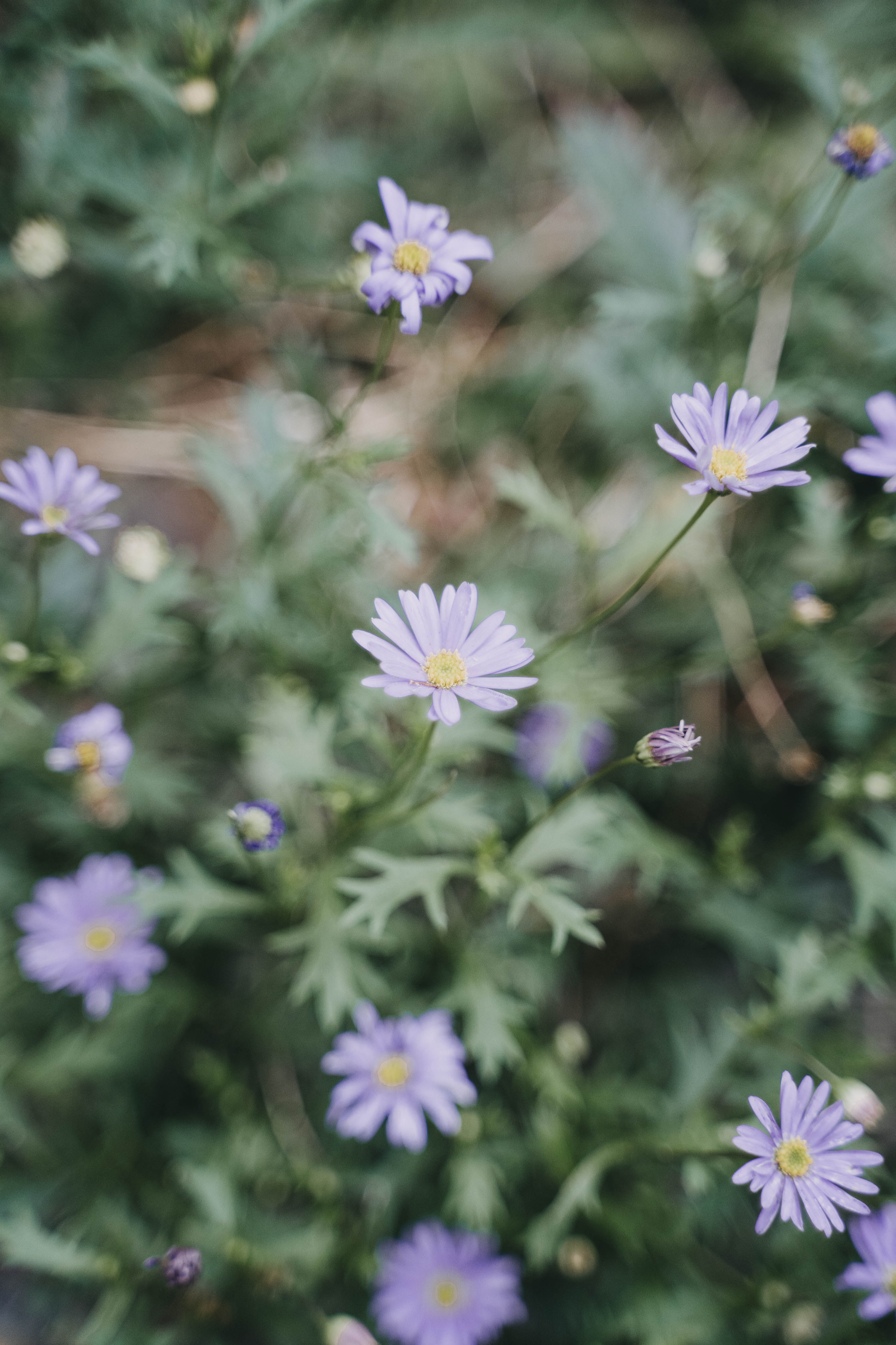 Hochzeit: Stadtscheune Buckow
