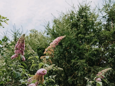 Hochzeit: Gut Schloss Golm
