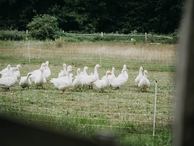Hochzeit: Haus Bikowsee