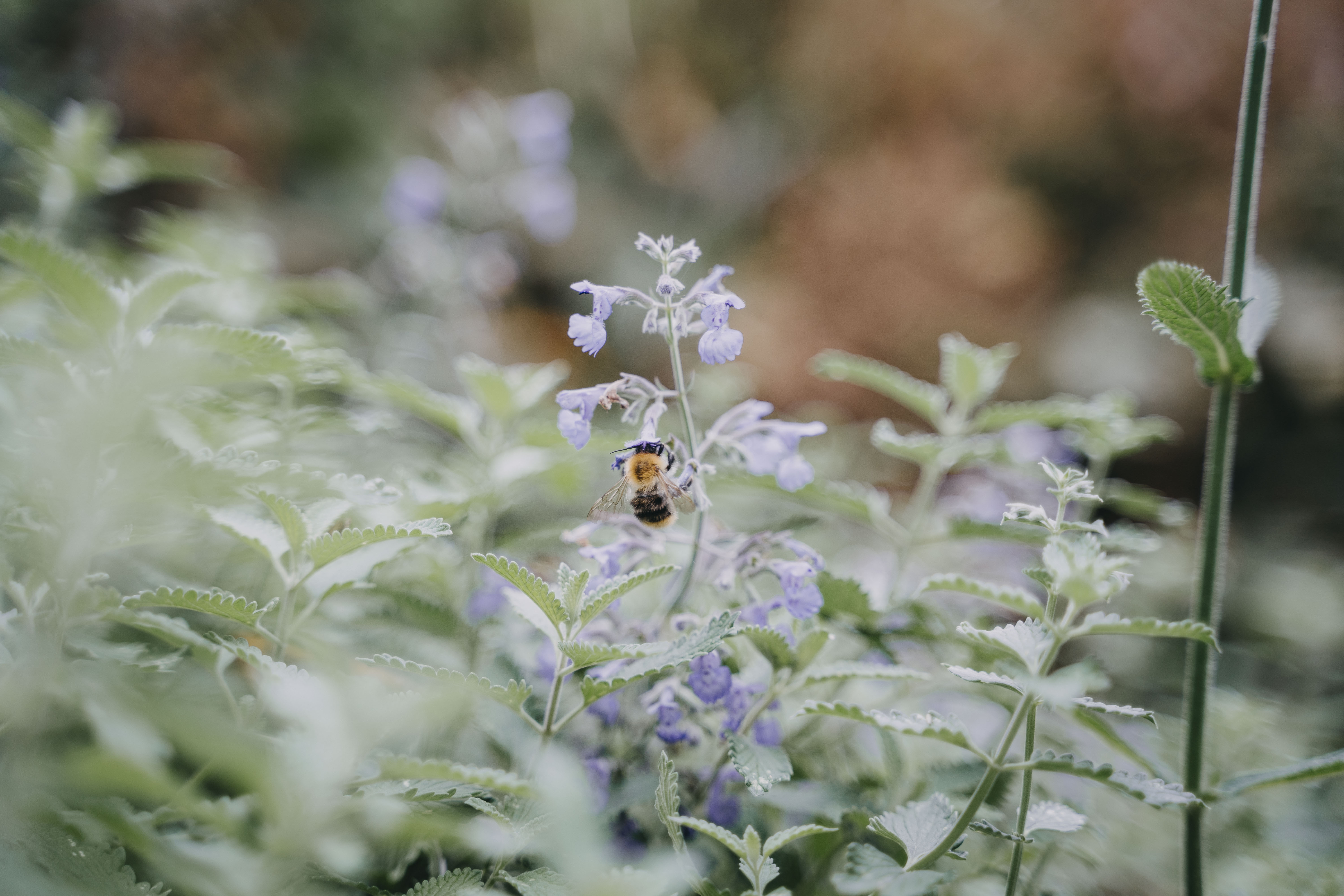 Hochzeitslocation: Cafe Drei Kaehne