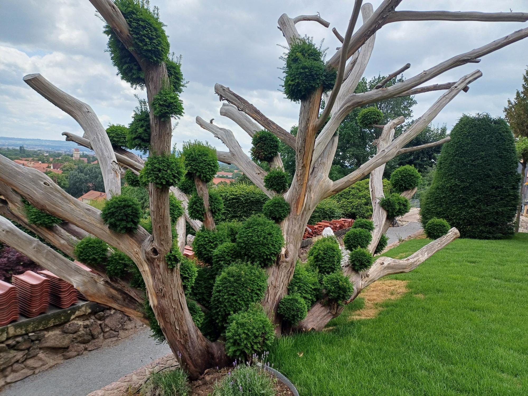 Hochzeitslocation: Park - Hotel Bergwirtschaft Wilder Mann