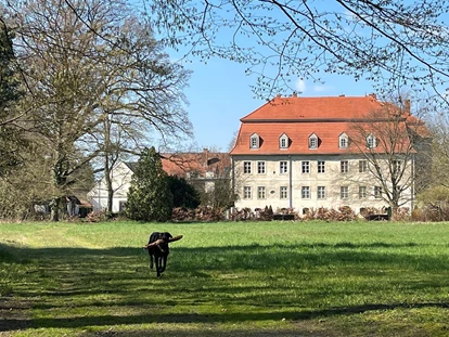 Wedding - Jessen (Elster) - Schloss Ahlsdorf