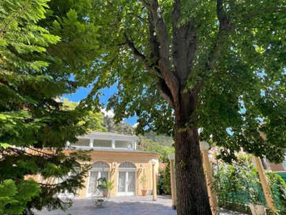 Wedding - Bad Sauerbrunn - Terrasse Stammhaus - Wienerwald Residenz