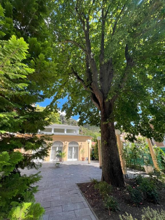 Wienerwald Residenz Informazioni sulle sale da ballo Terrazza (100 m²)