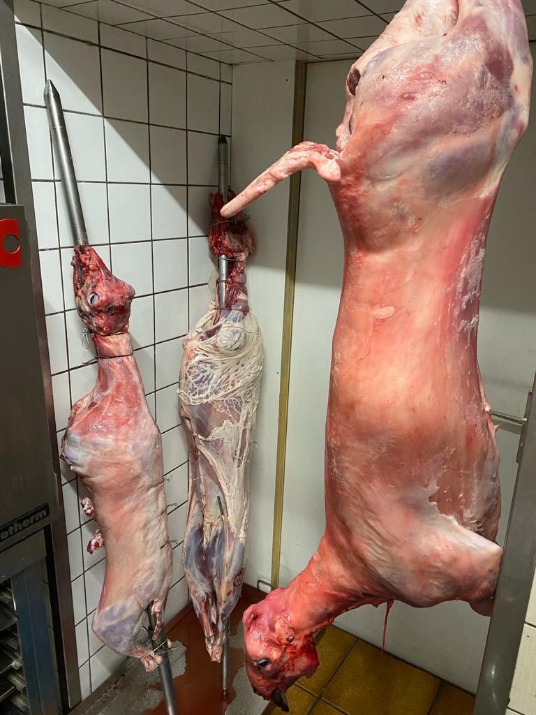 Hochzeitslocation: Forellenstube