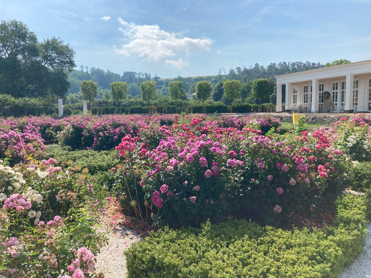 Hochzeitslocation: Botanischer Garten Schloss Bieberstein