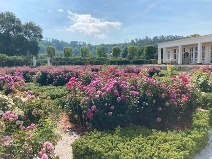 Hochzeit - Umgebung: mit Seeblick - Botanischer Garten Schloss Bieberstein