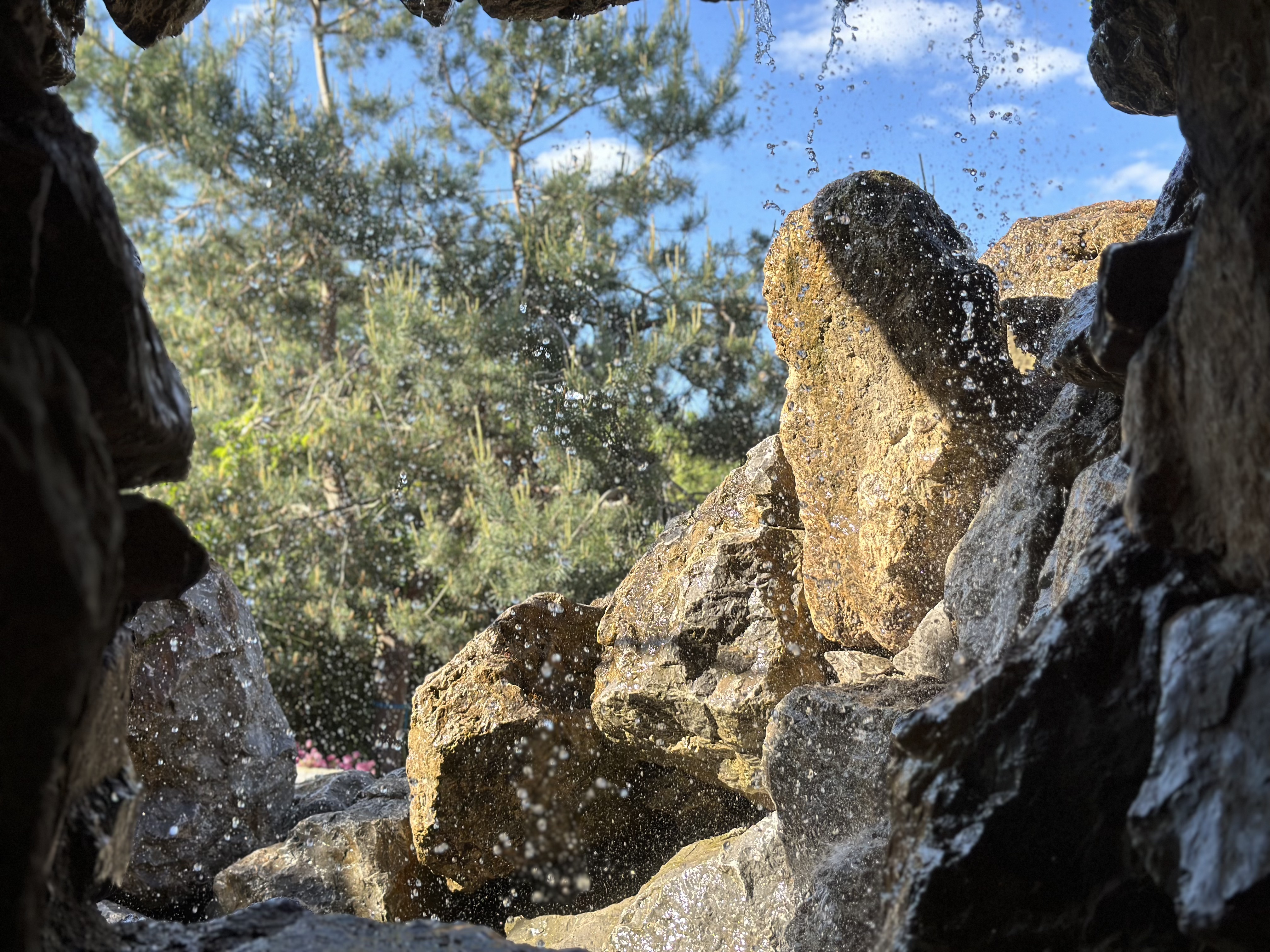 Hochzeitslocation: Botanischer Garten Schloss Bieberstein