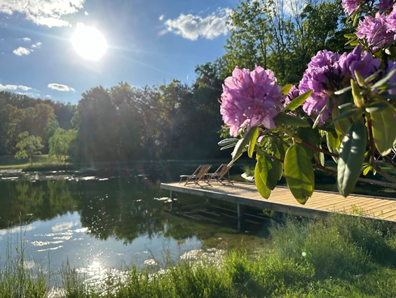 Hochzeitslocation: Botanischer Garten Schloss Bieberstein
