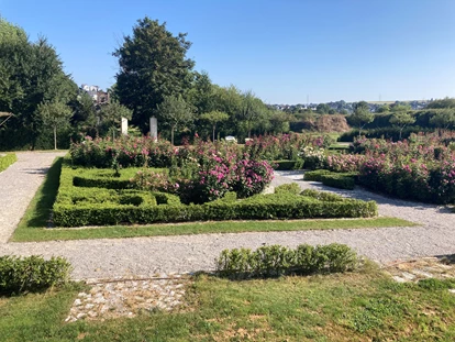 Hochzeit - Umgebung: mit Seeblick - Botanischer Garten Schloss Bieberstein