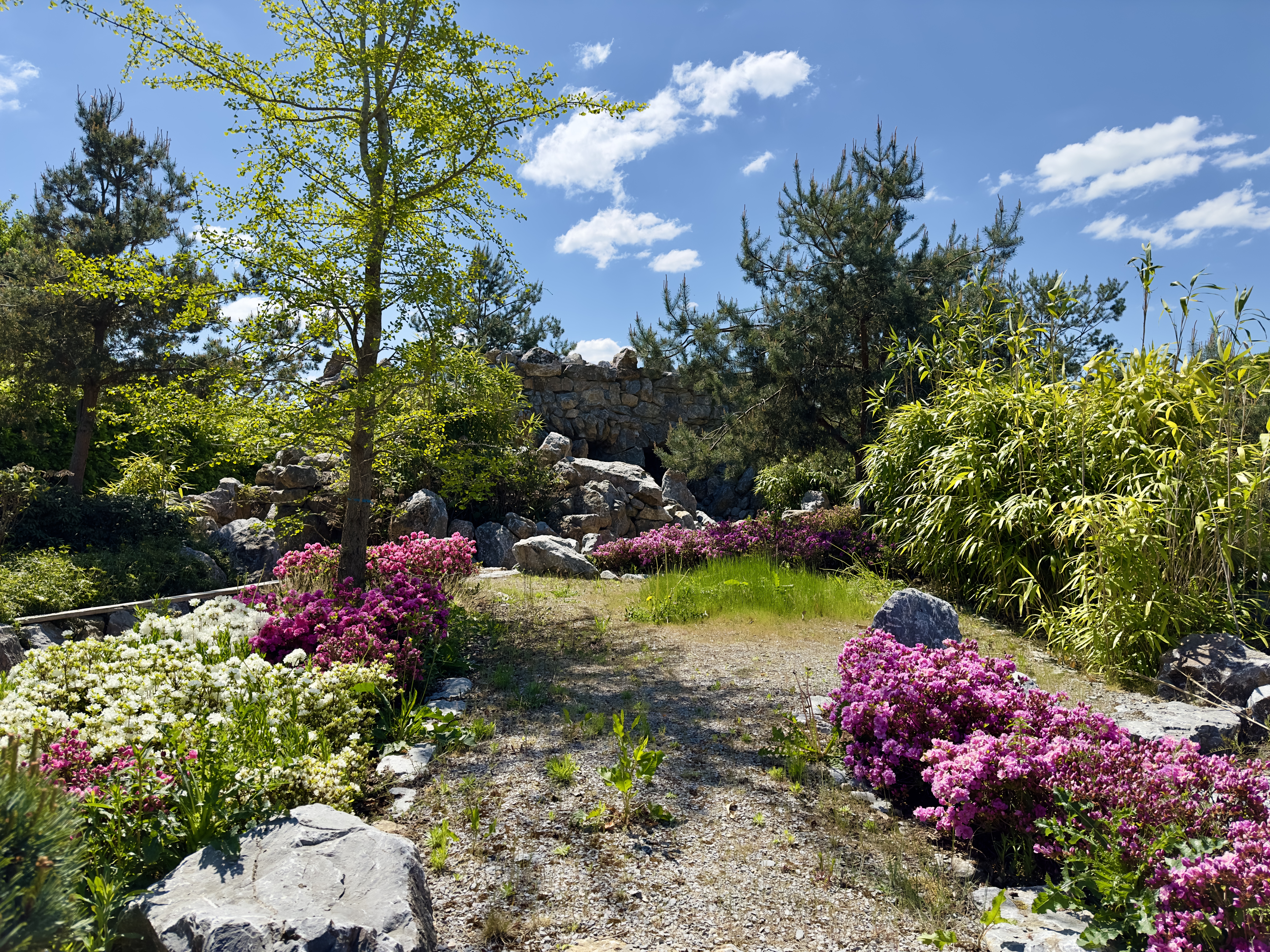 Hochzeitslocation: Botanischer Garten Schloss Bieberstein