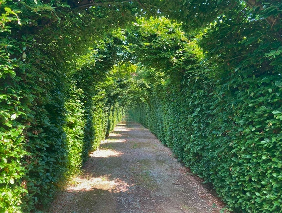 Hochzeitslocation: Botanischer Garten Schloss Bieberstein