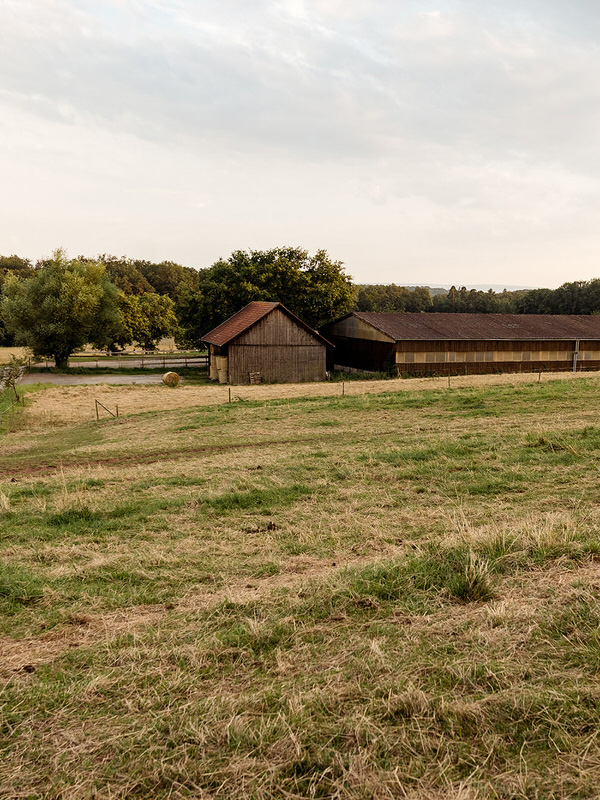 Hochzeit: Scheuelberghof