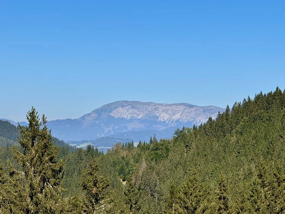 Hochzeit: Das Alpl Resort