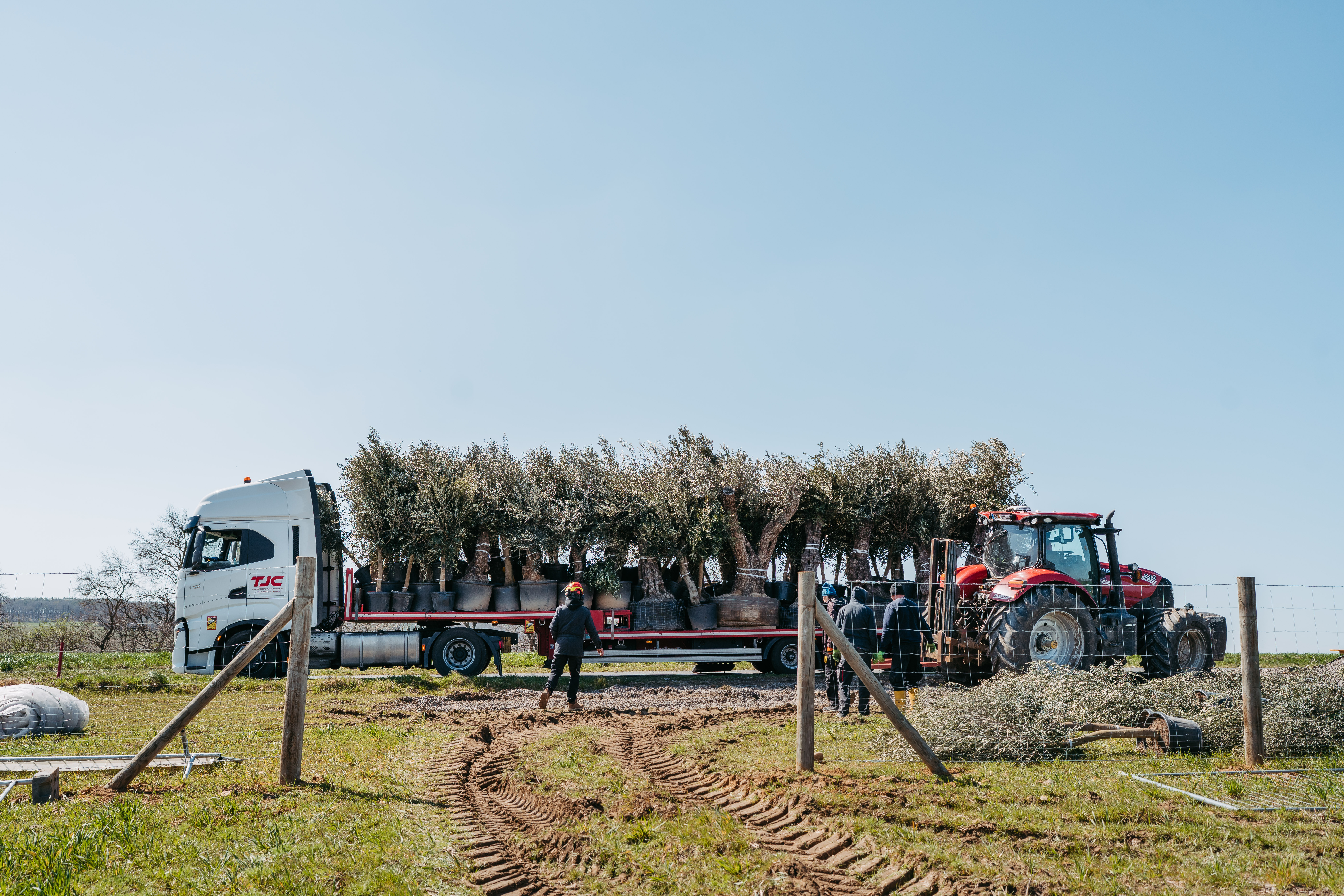Matrimonio - Umgebung: am Land - Austria - SEITNgassl & OLIVium