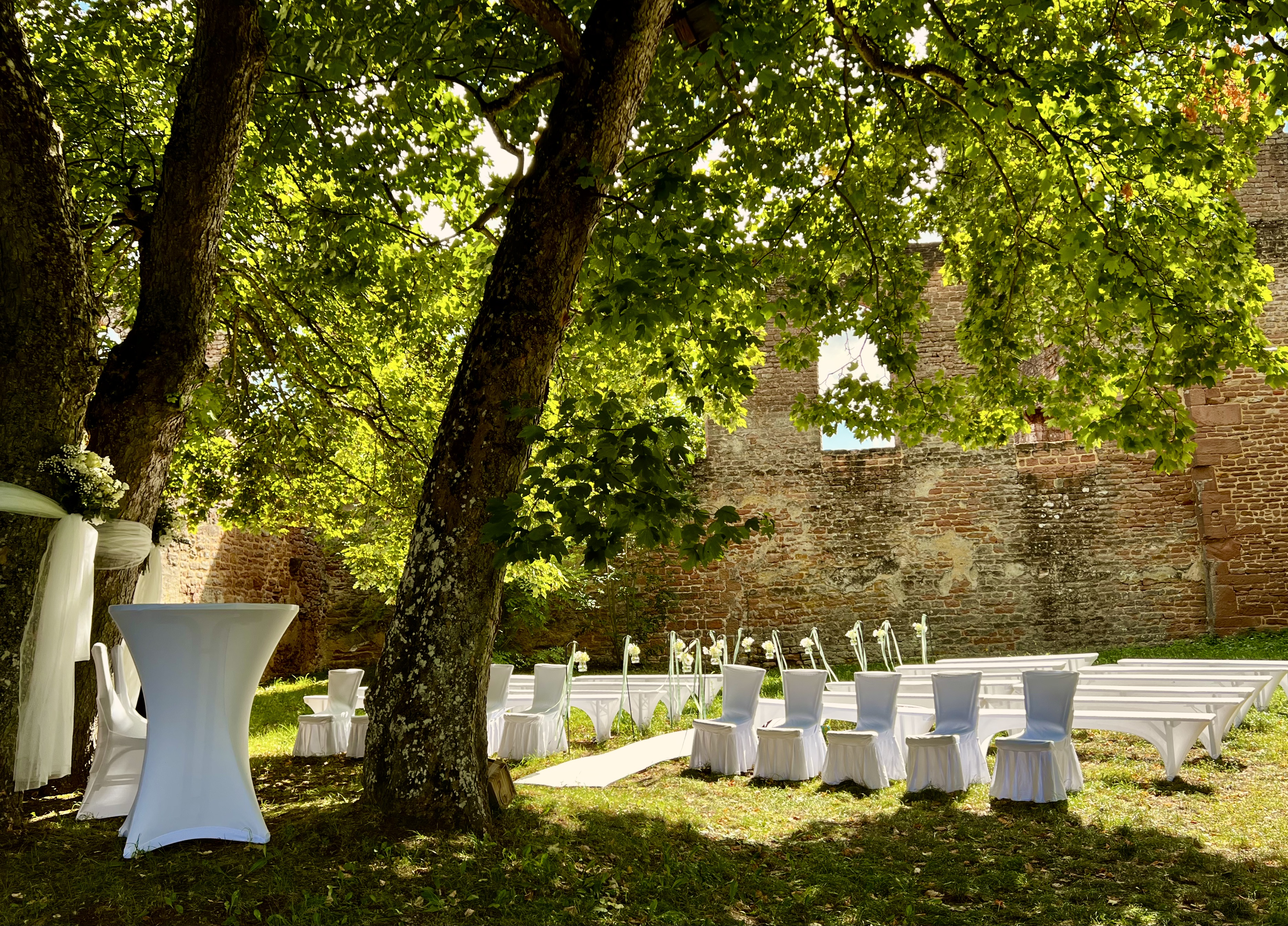 Matrimonio - Geeignet für: Produktpräsentation - Renania-Palatinato - Freie Trauung  - KONRAD2 auf der Klosterruine Limburg