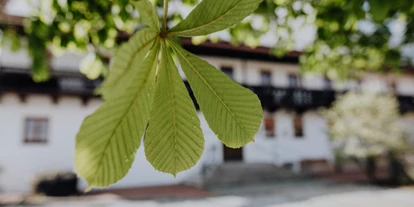 Matrimonio - Schierling (Landkreis Regensburg) - Willkommen - Kastanienhof Pfettrach