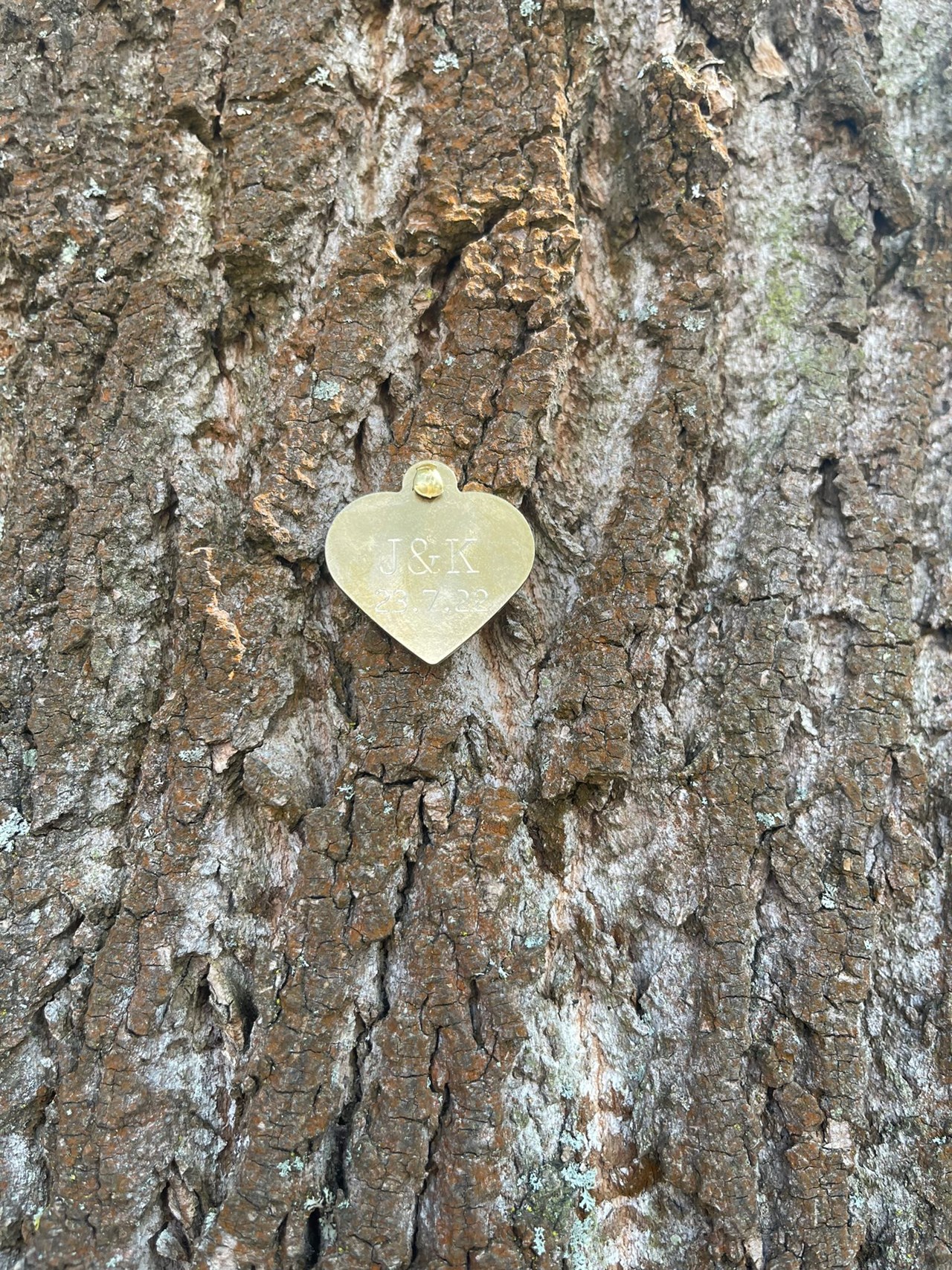Villa von Sayn Angaben zu den Festsälen Hochzeitsherz