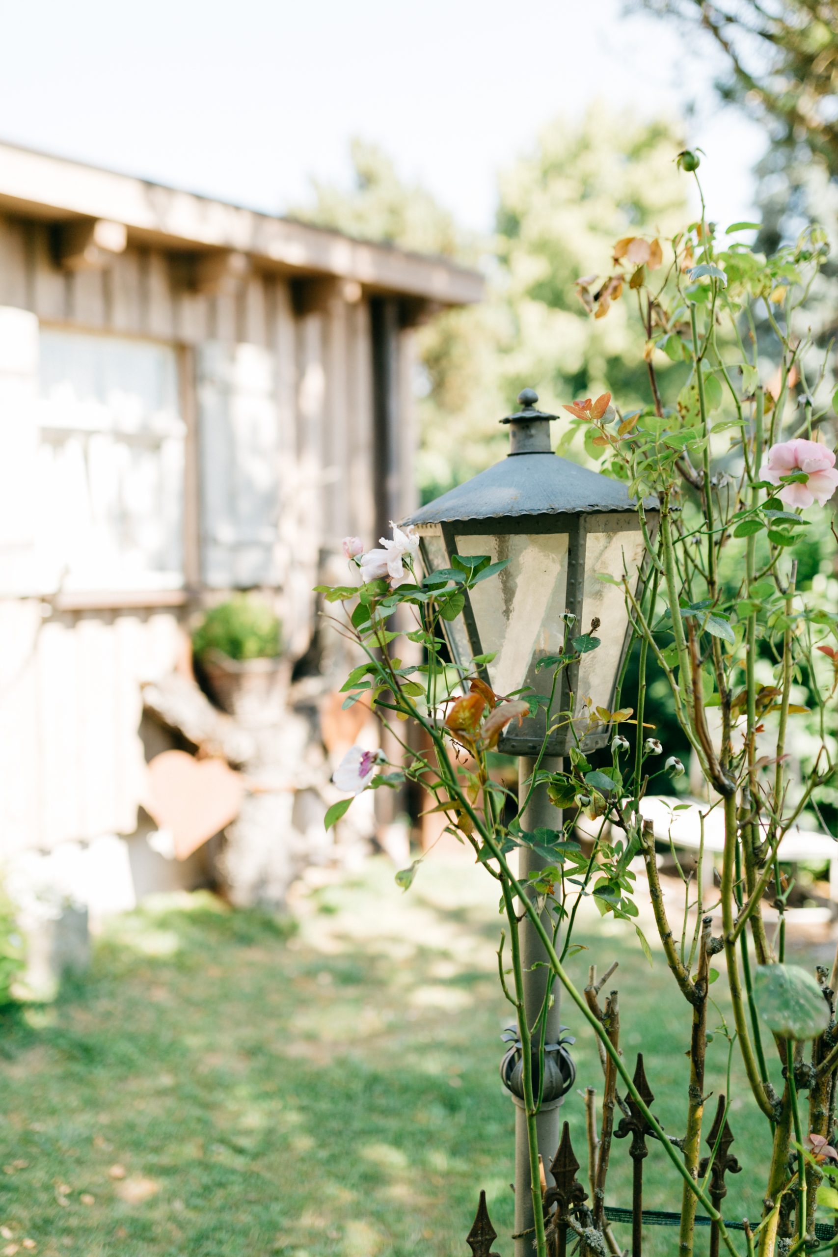 Hochzeitslocation: Meiser Rosengarten Fichtenau-Neustädtlein