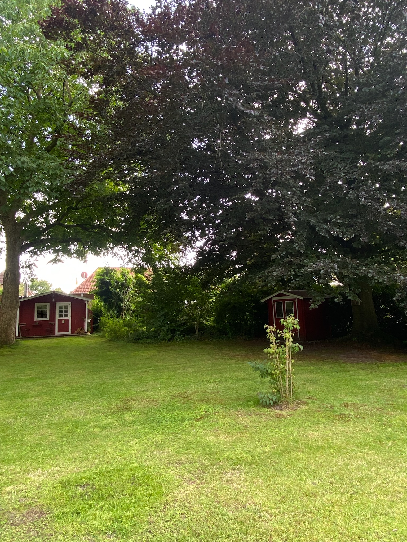 Hochzeitslocation: Perspektive in den Garten  - LINDENALLEE MULSUM