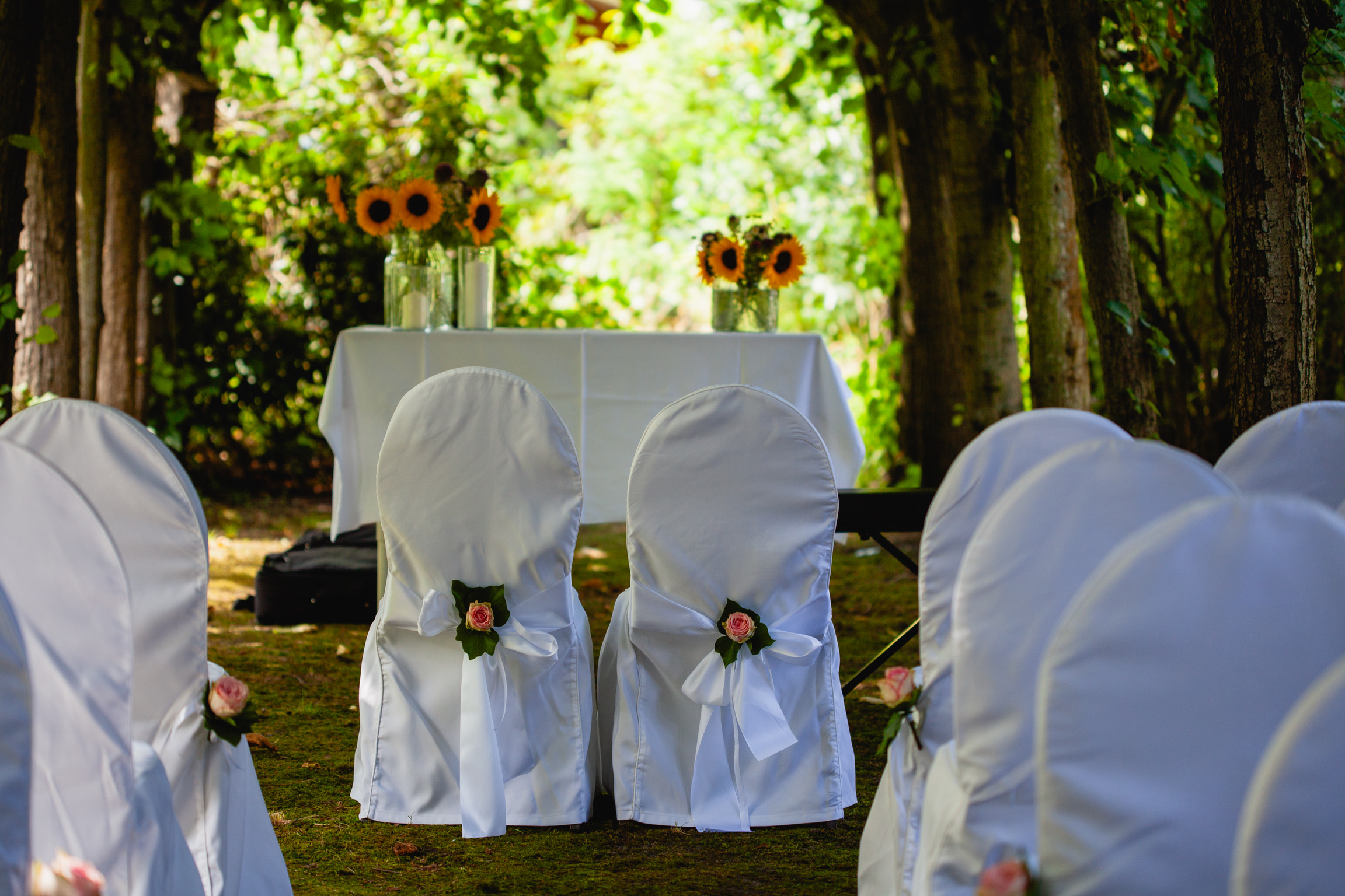 Hochzeitslocation: Altar mit Bestuhlung/ Hussen  - LINDENALLEE MULSUM