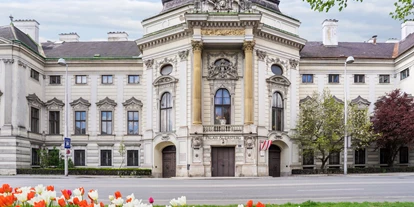 Hochzeit - Rückersdorf (Harmannsdorf) - Palais Auersperg