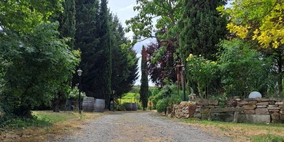 Matrimonio - Flonheim - Park - Trauort - Altes Weingut Moebus