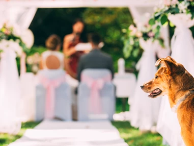 Hochzeit: Kurhaus Bad Krozingen