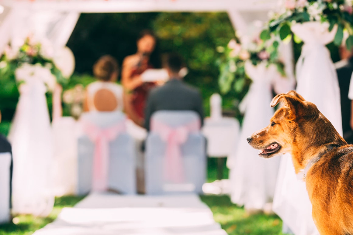 Hochzeit: Kurhaus Bad Krozingen