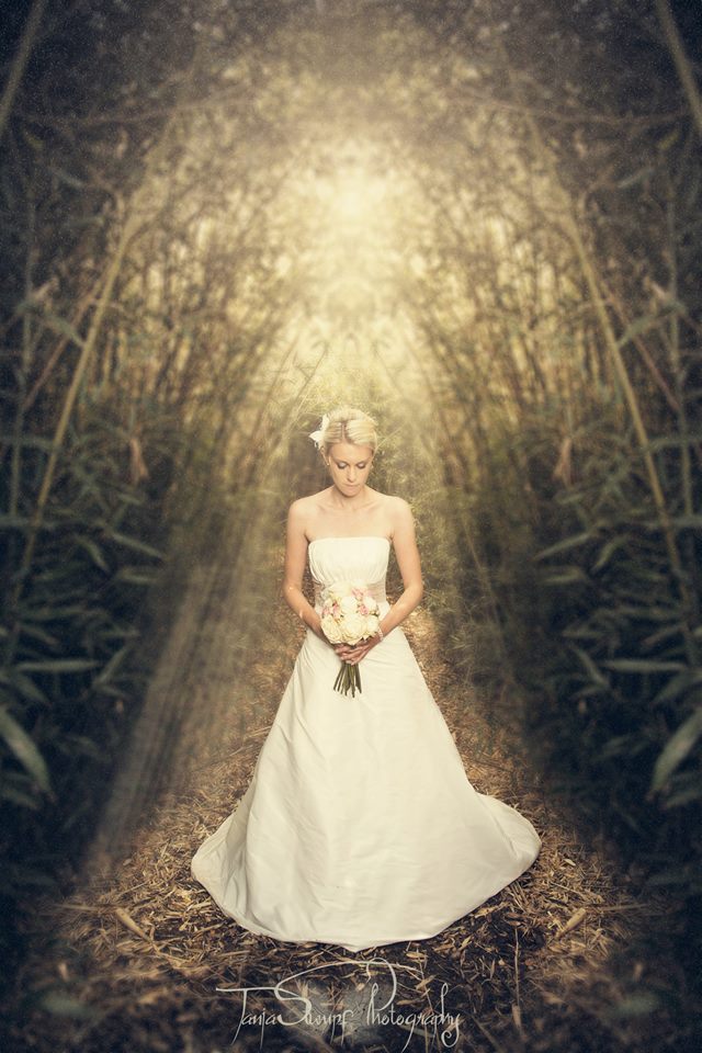 Hochzeitslocation: Braut auf der Bambusinsel - Schloss Dennenlohe