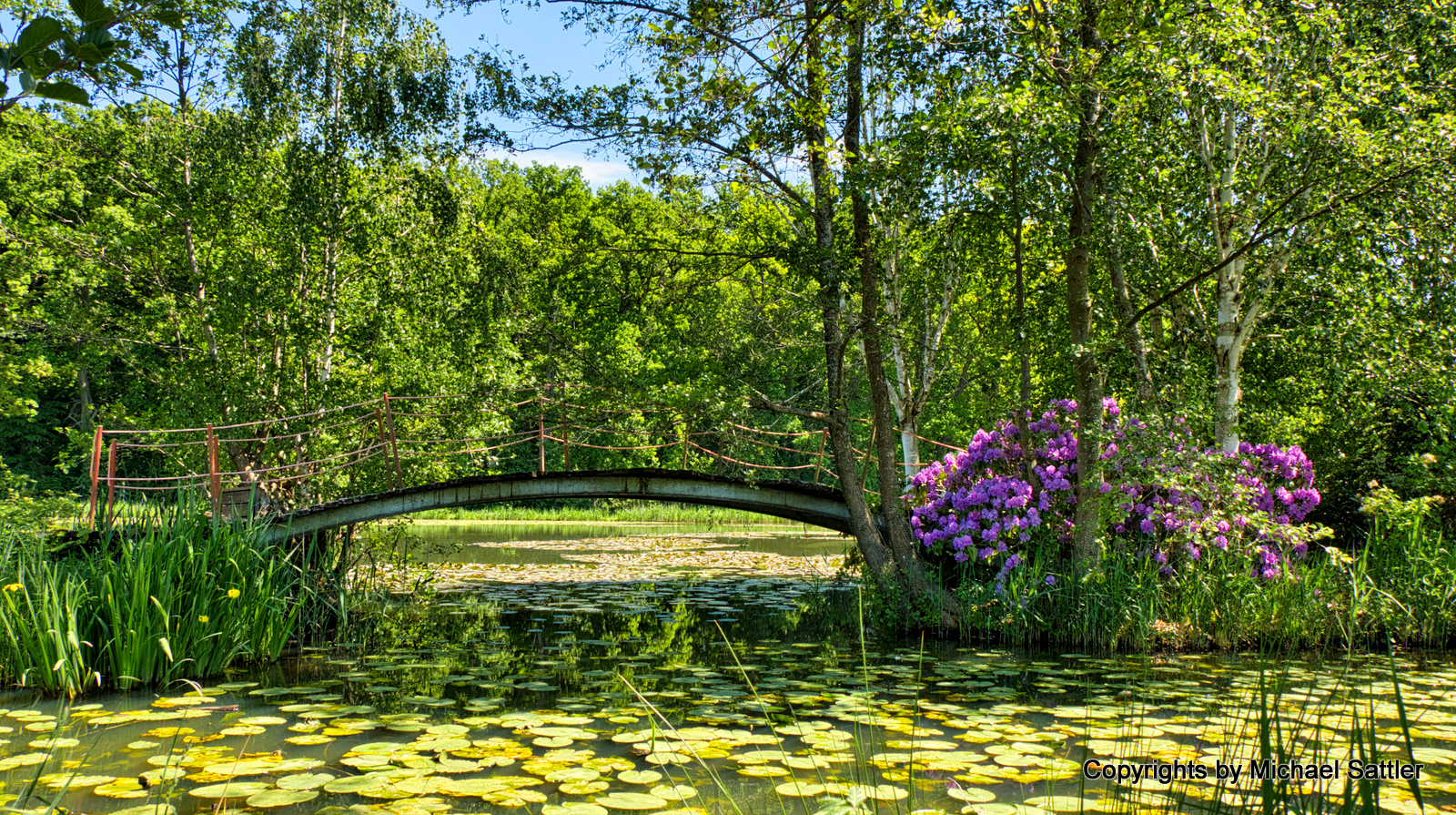 Hochzeitslocation: Inseln im Park - Schloss Dennenlohe