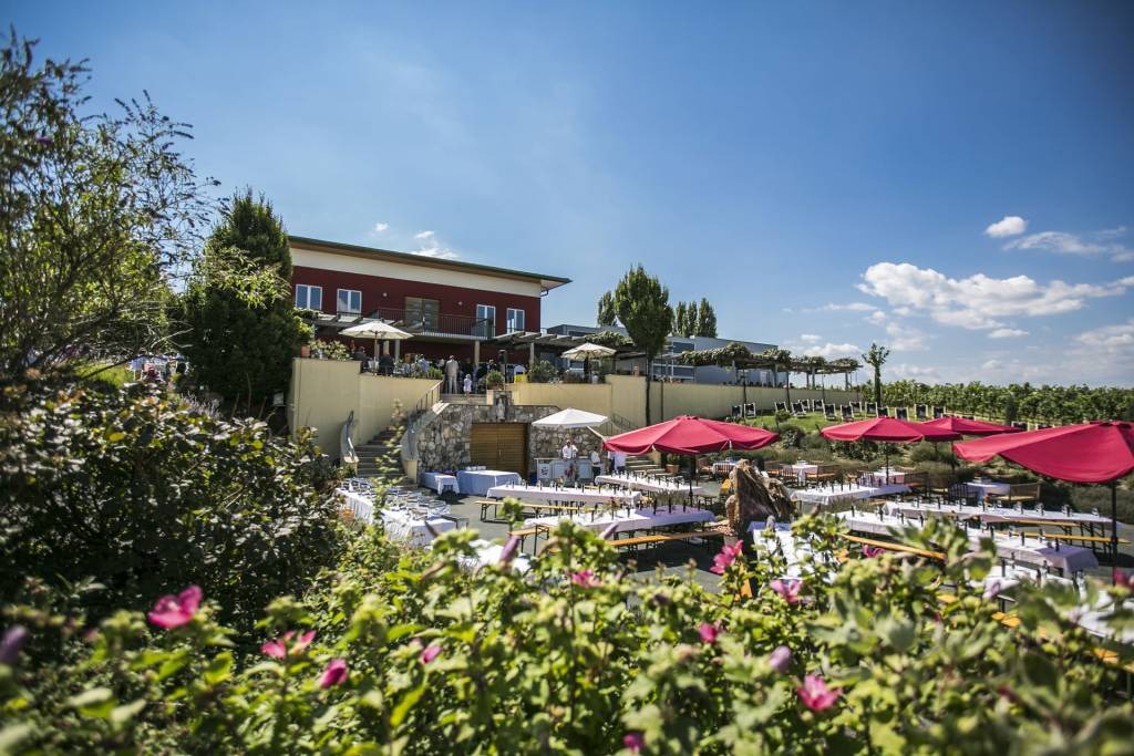 Hochzeitslocation: Rooftop 7301