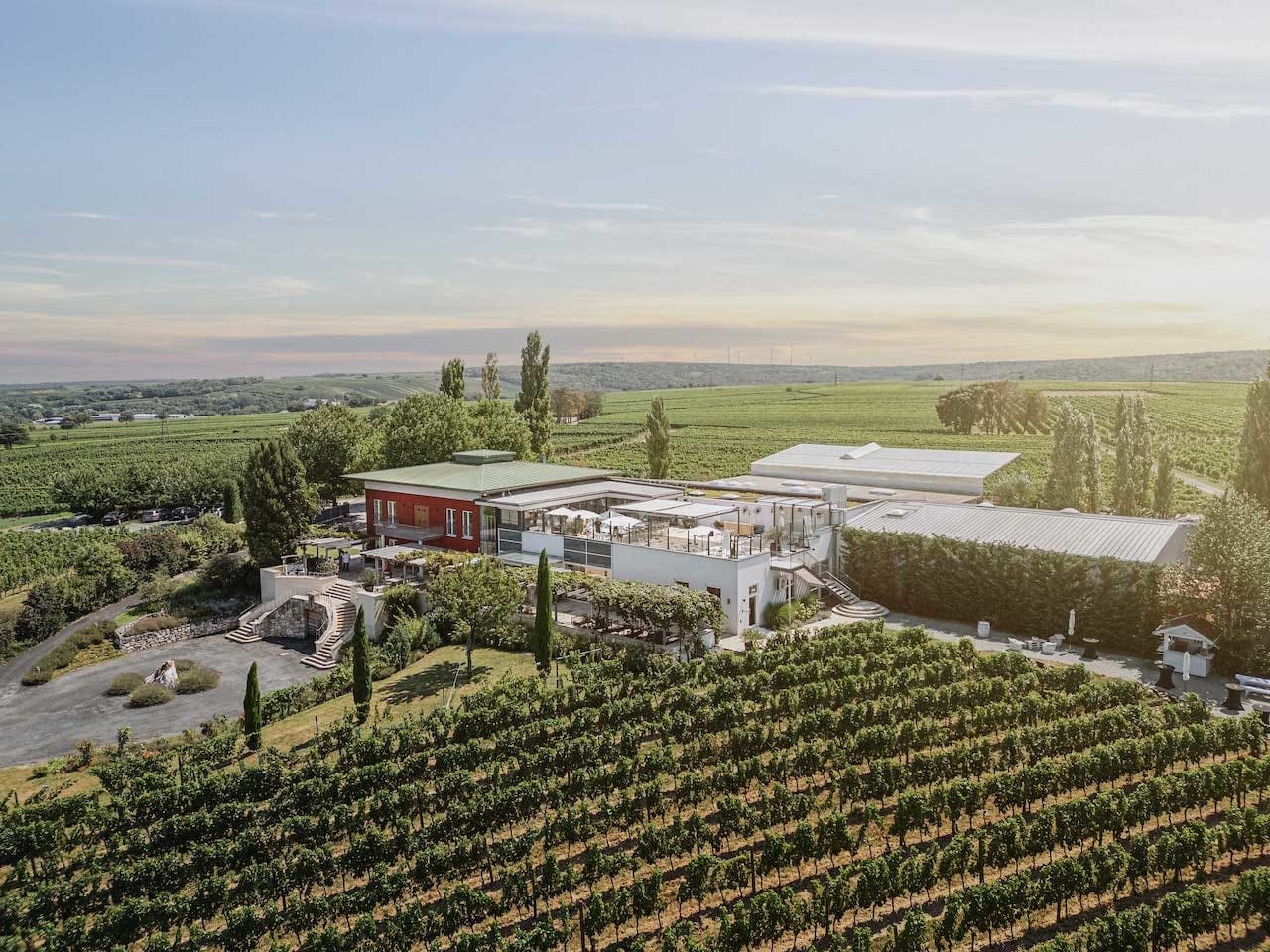 Matrimonio - Großhöflein - Rooftop 7301