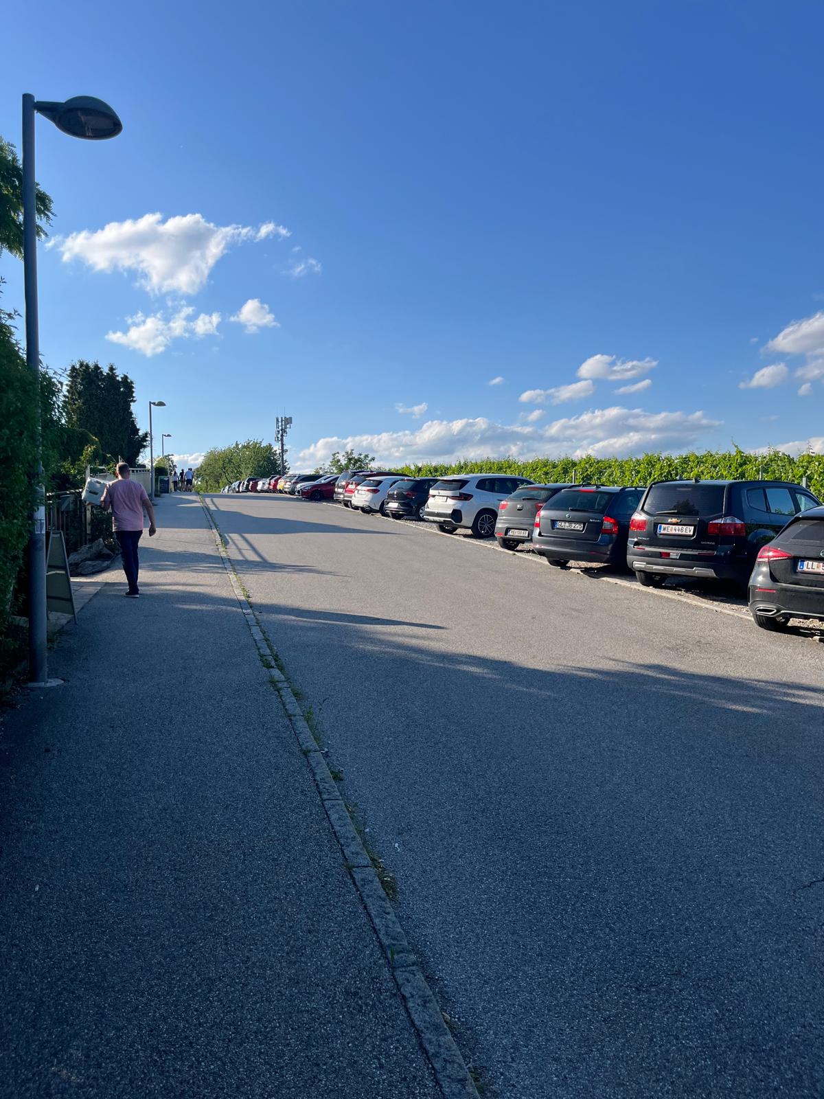 Hochzeitslocation: großer Parkplatz  - Die Buschenschank