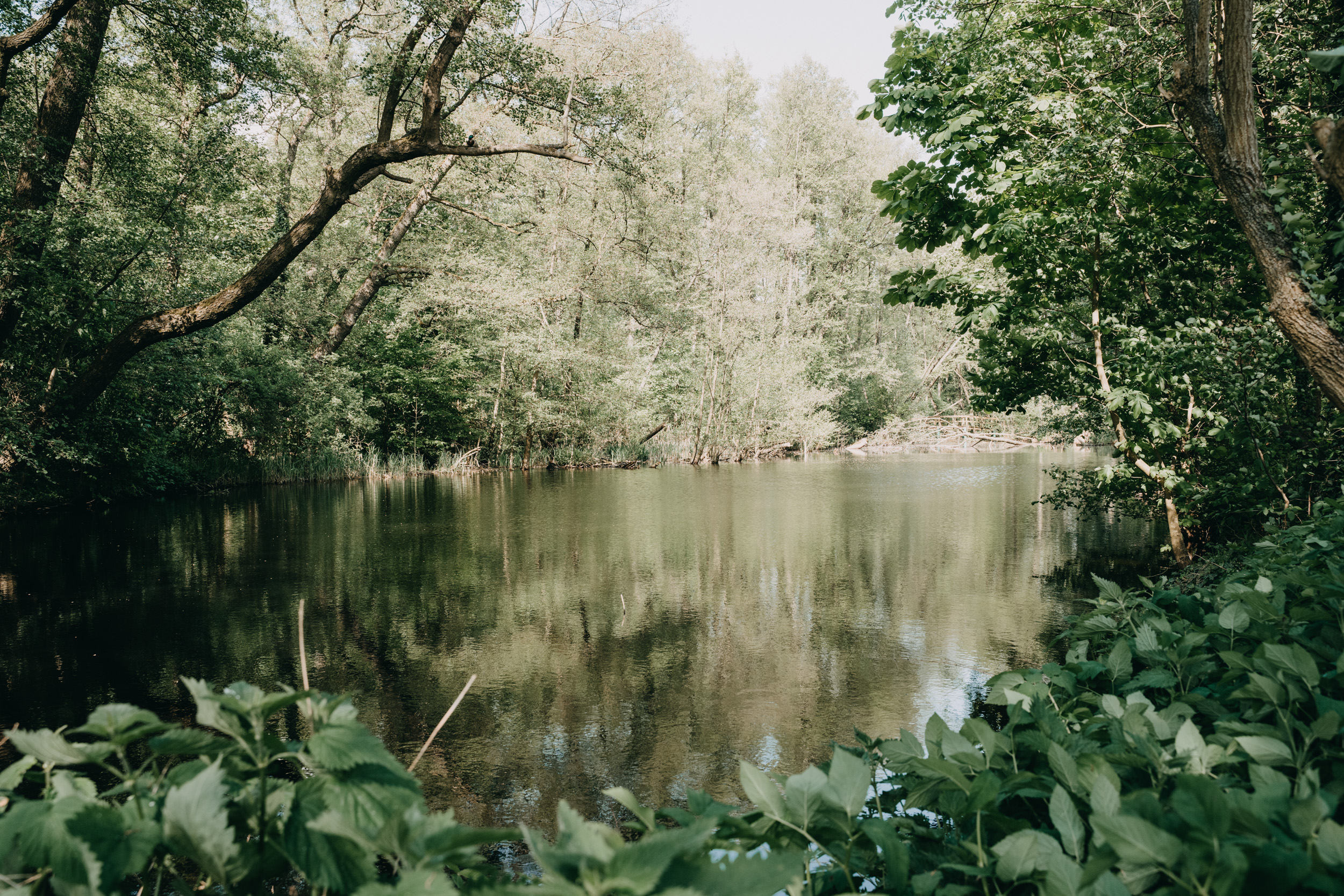 Mariage - Königs Wusterhausen - Landgasthof zum Mühlenteich