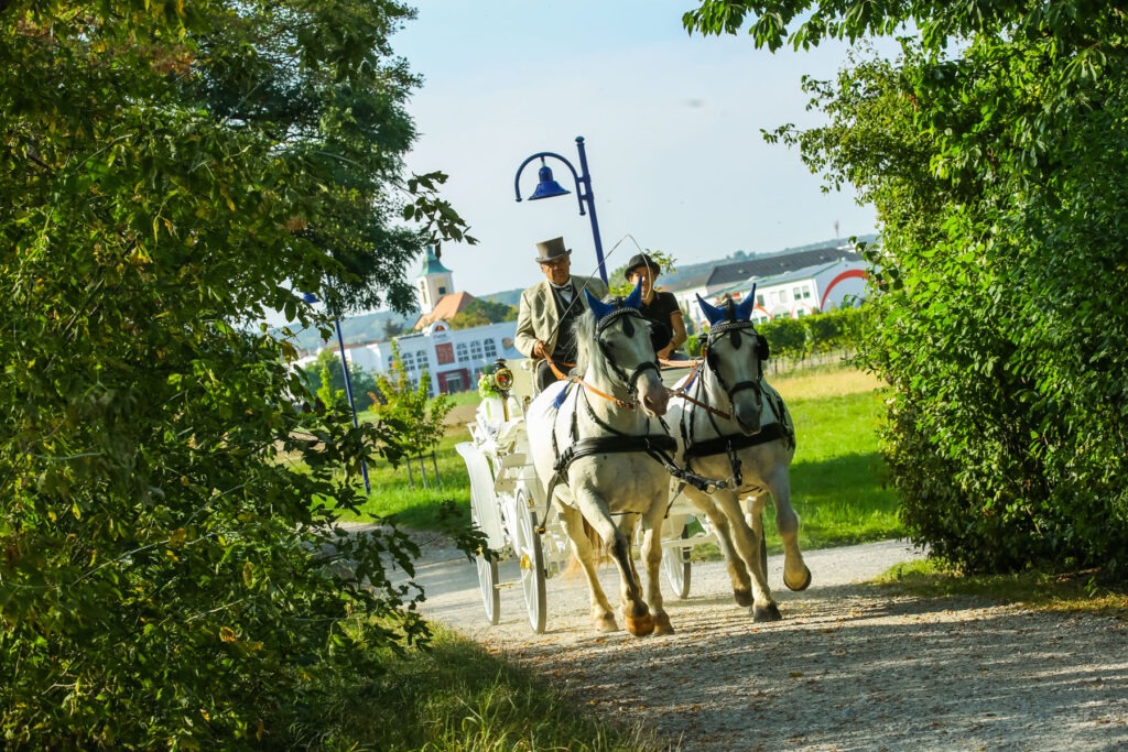 Hochzeit: Eventcenter Leobersdorf