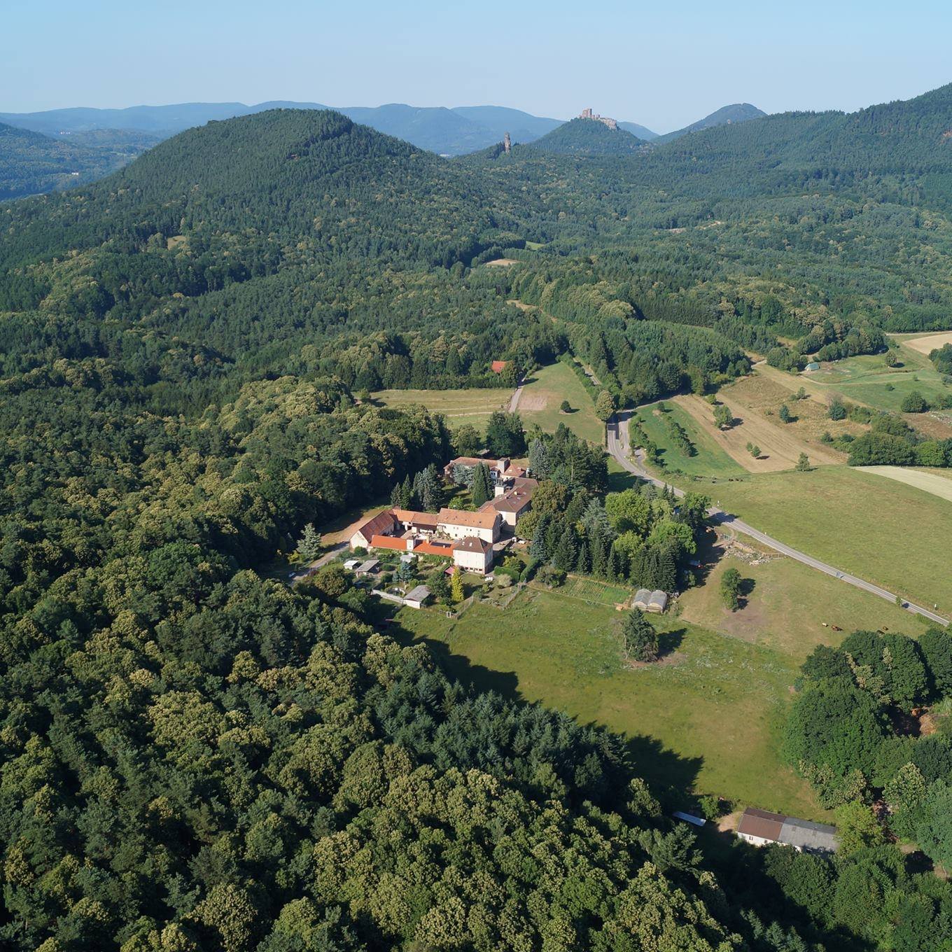 Hochzeit - Preisniveau: günstig - Deutschland - Luftbild Josefshof - Josefshof-Pfalz