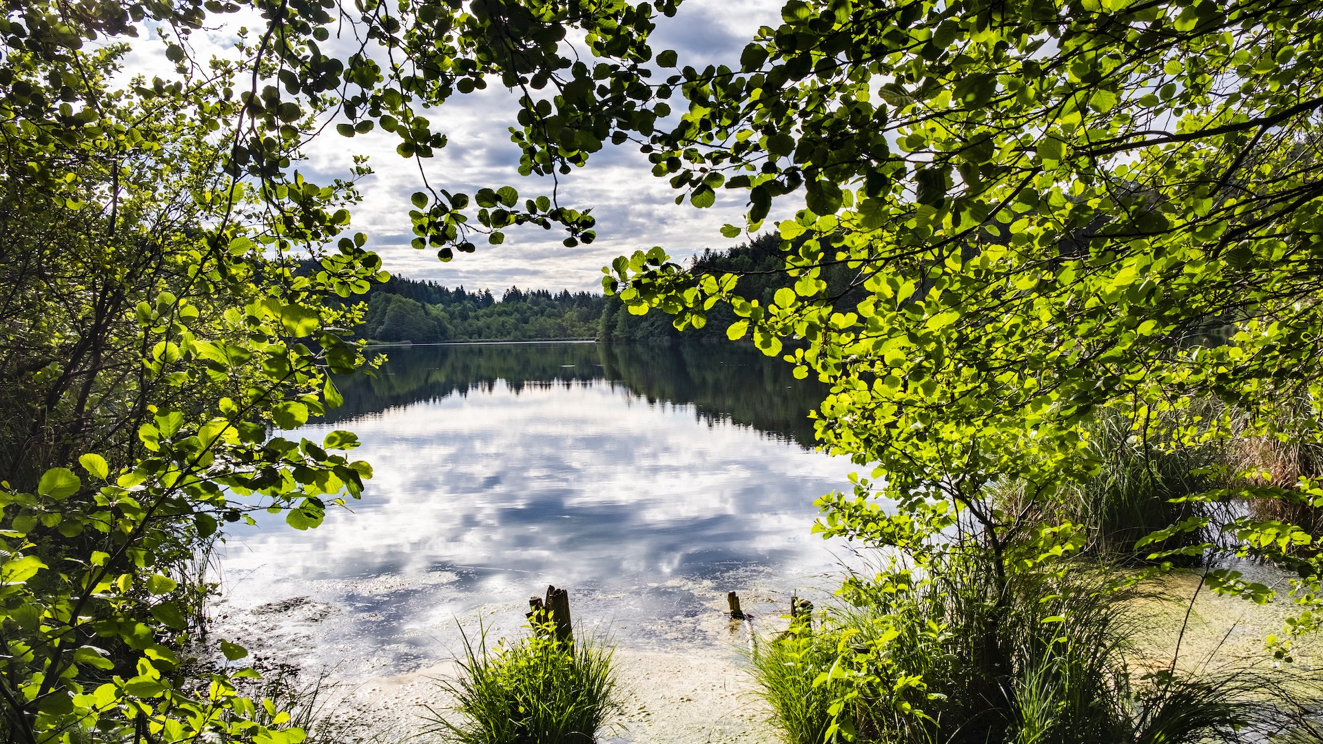 Hochzeit - Umgebung: im Wald - Glanegg (Glanegg) - Genussgasthof Feidig