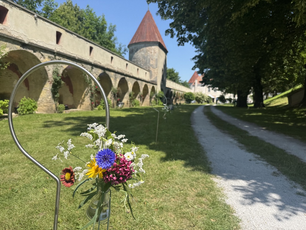 Hochzeit: Blick vom Brugeingang Richtung Schlössl - Burg Neulengbach