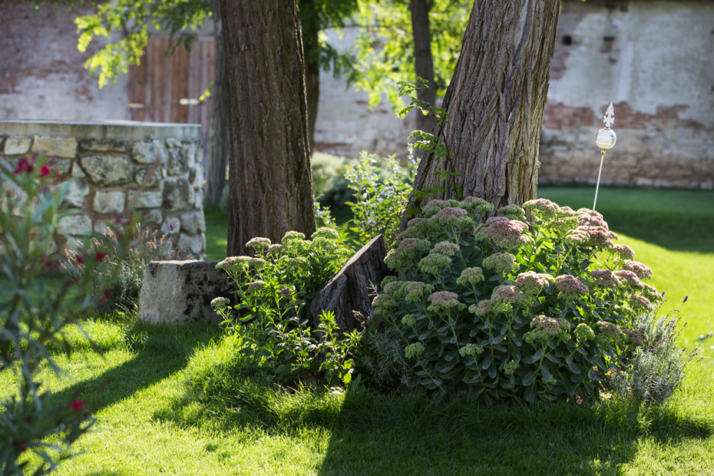 Hochzeit - PLZ 7322 (Österreich) - Schaflerhof - Weingut HANS-IGLER