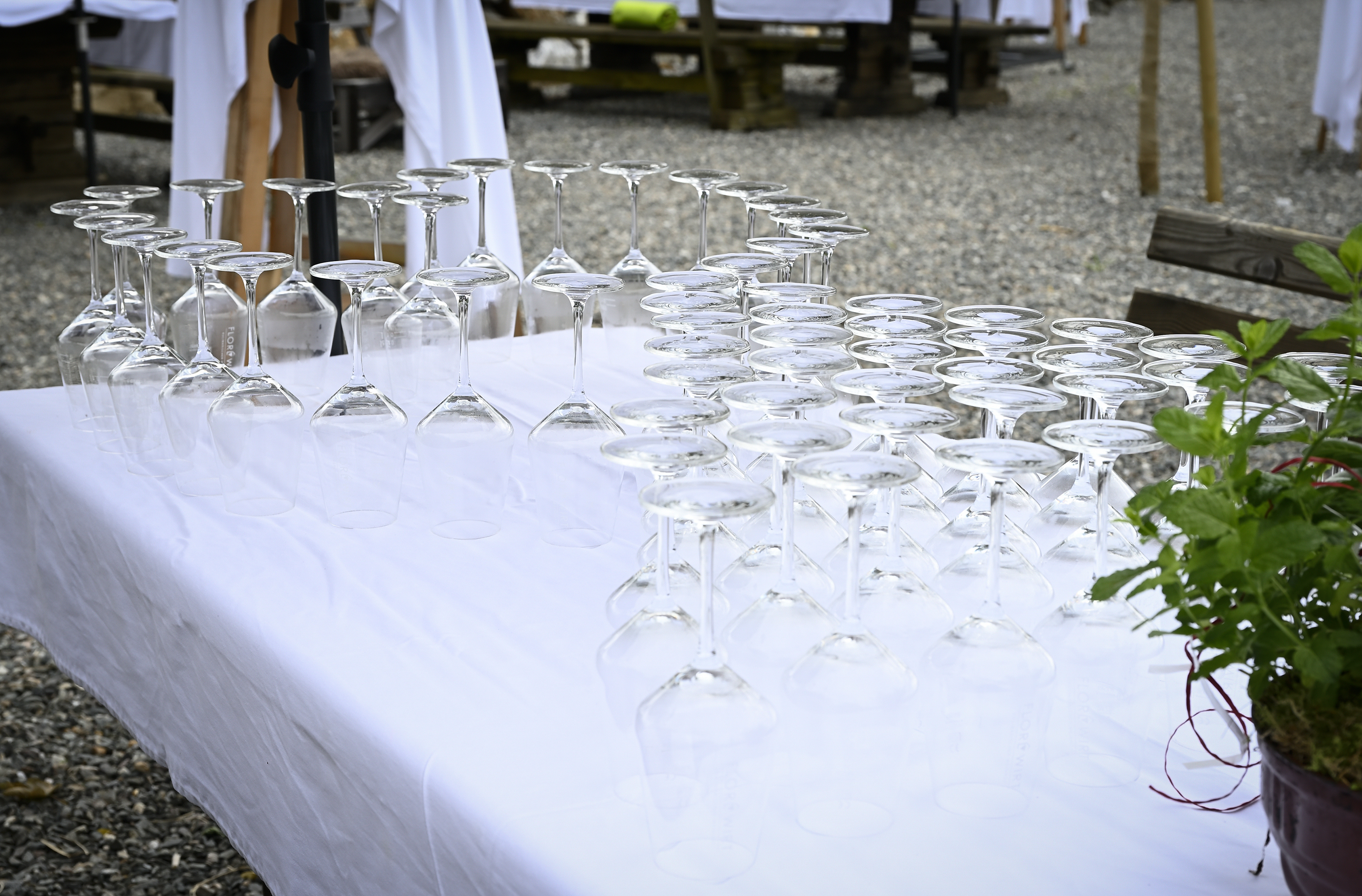 Matrimonio - Kleinlobming - Kulinarischer Weinhof Florlwirt